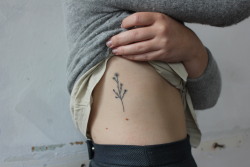 m-i-s-o:  miso home-made tattoos ; wildflowers