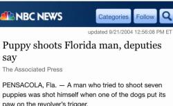 unicornlordart:  Puppy ends the terror spree of the notorious Florida man. 