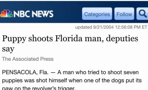 unicornlordart:  Puppy ends the terror spree of the notorious Florida man.   florida is like some kind of insane mirror universe. 