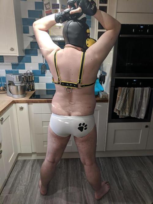 themoodybear: Sexy puppy butt.. the baking pup..  Hehe love these from Orlo.   Pup paw underwear from http://themoodybear.com/pupbum.html  Pup Top ( neo hood ) and tail … Love it!