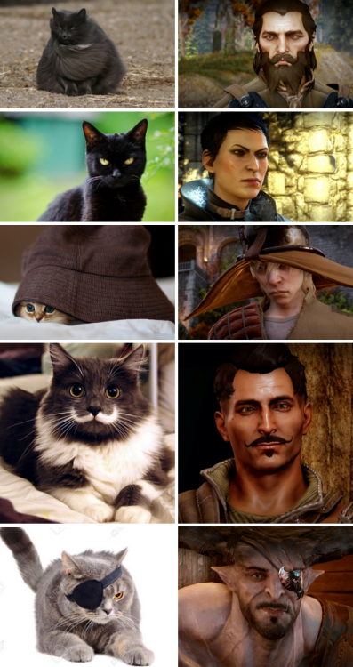 hobbitsaarebas: milkymaccha: schmooplesbottom: Dragon Age: Catquisition Advisors || Antagonists || T