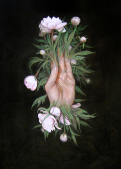 misswallflower: Peony, from Cut Flowers , Zachari Logan