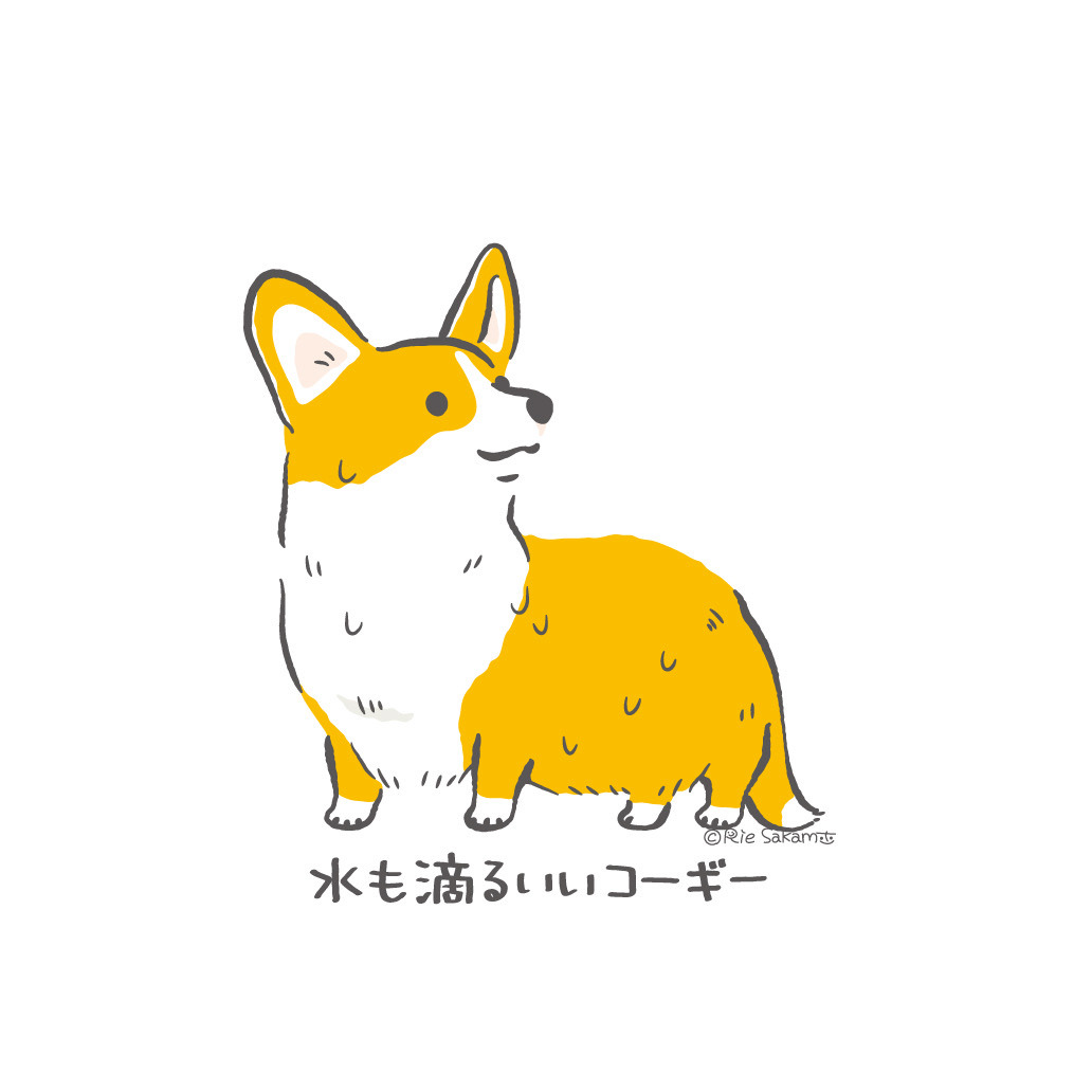 Okoge The Corgi みんなでくっついて寝るうちのハスキーとコーギー