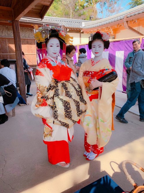 koikishu:February 2019: Aoi-tayuu, of Suehiro okiya, posing with maiko Ichizumi (市すみ) of Pontocho du