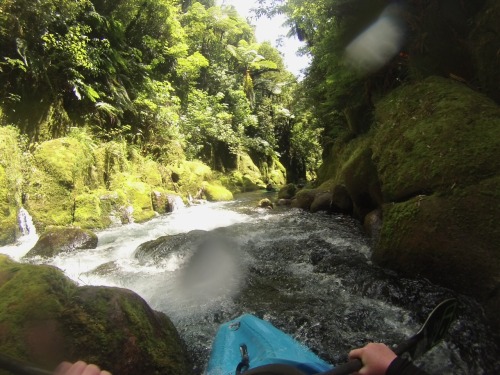 Paddled the most amazing river on the planet on Saturday! Waiari Gorge is spring fed and so clean yo