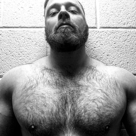 hairychestg:  abeautifulindiscretion:  Bear In Mind   hairychestg 