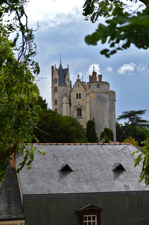 Juste le temps de faire le tour de ce beau château dans la commune de Montreuil-Bellay avant de repr