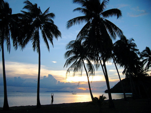 Thailand Koh Samui Palm trees (by Enrico Minotti)