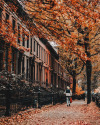 fallingliketheseautumnleaves: