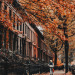 fallingliketheseautumnleaves: