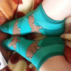 Sloth socks!  #sockittome #socute