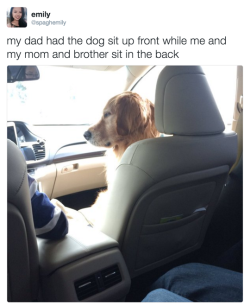 12-g:  tastefullyoffensive:  Me as a dog owner. (via spaghemily)   @mistersailor