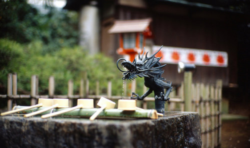 Todorokikeikoku Park,Setagaya-ku(等々力渓谷公園，世田谷区) by Kinhaku on Flickr.