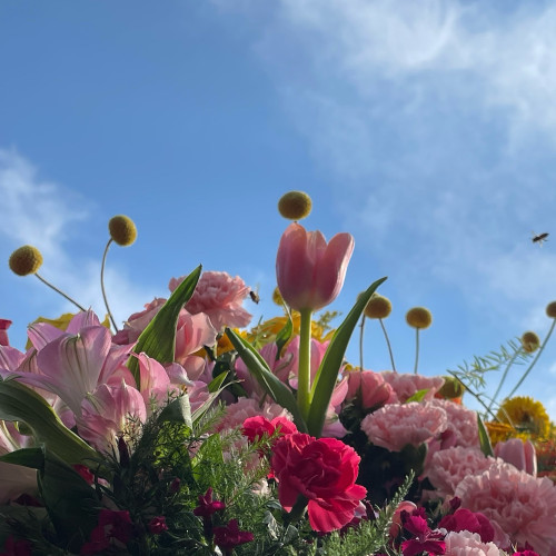Peaceful Saturday Flowers