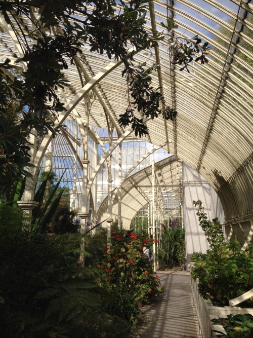 stillgewaesser:  national botanic gardens of dublin 
