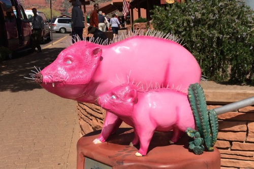 Tha Javalinas, Mama Chosura and Little Xalala, Sedona, Arizona, 2014.