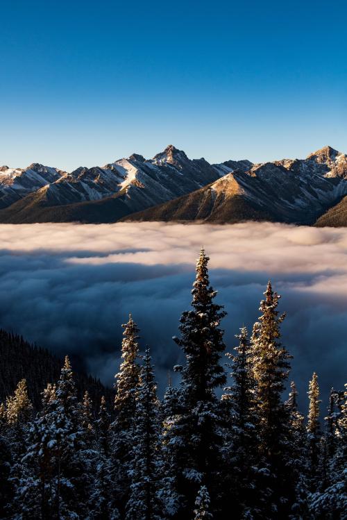 amazinglybeautifulphotography:  My first Cloud inversion. Sulphur Mountain, Banff, Canada 🇨🇦 [OC] (4016 x 6016) - Author: PhatBoiPhotos on Reddit