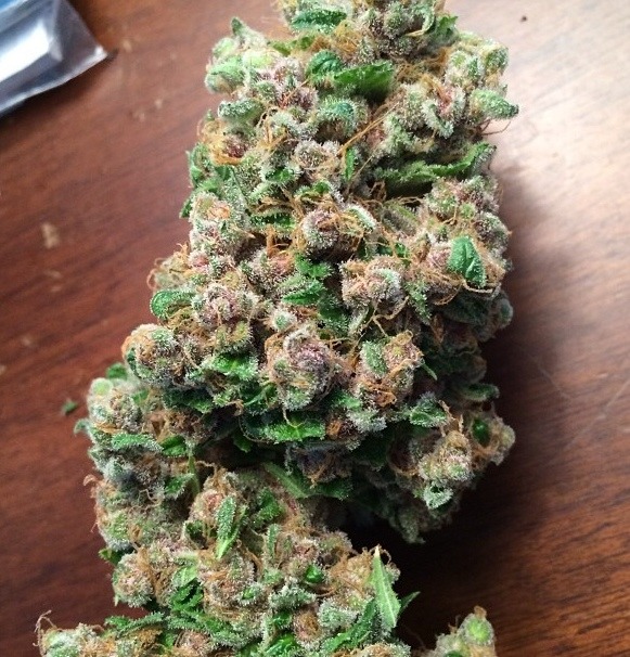 bluntrollerandsmoker:  Big Grape is no joke 