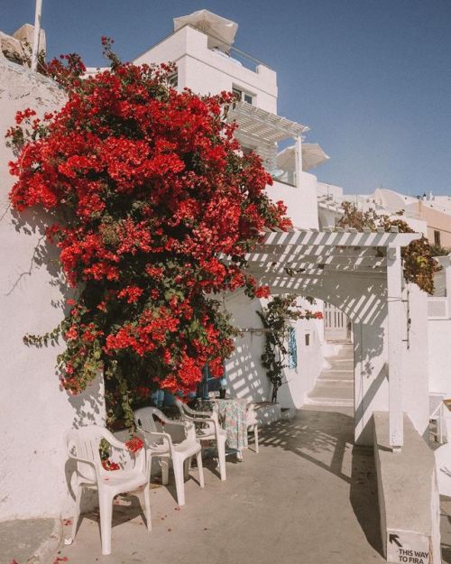 Santorini, Greece | Alisa Anton