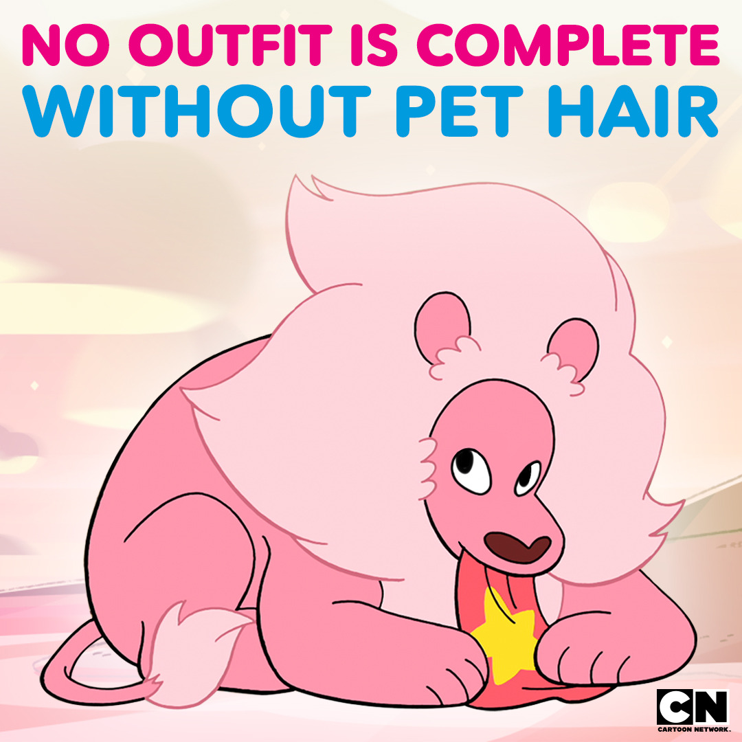 Who do you know that is always covered in dog hair, cat hair, or lion hair? 