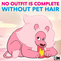 Who do you know that is always covered in dog hair, cat hair, or lion hair? 