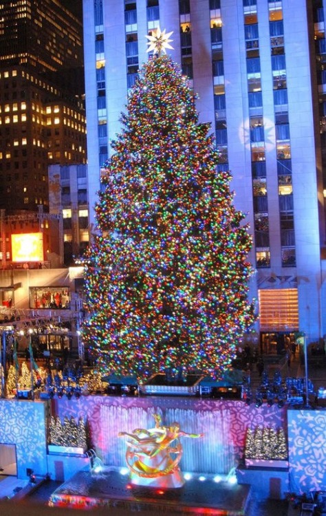 magicofxmas: Rockefeller Center (NY) at Christmas 