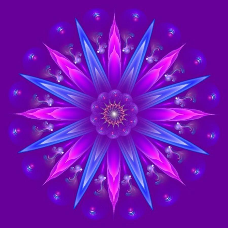 themagicfarawayttree:  mandala 