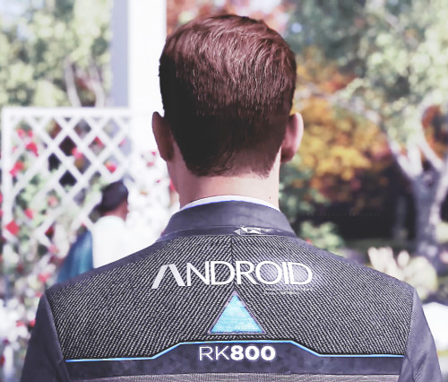 dbh rk800