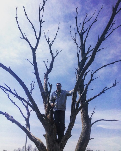 I’m king of the world! #treehuggers #familyday #tree #saturday #arbol (at Fermi National Accel