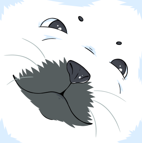 I Made Some Player Icons For A DnD Game Im Co-running!
