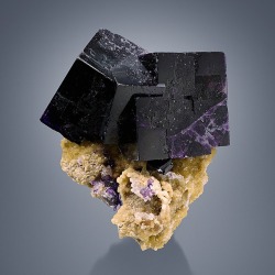 hematitehearts:  Dark Purple Fluorite on Siderite partly Epimorph after FluoriteSize:  3.3 × 2.7 × 1.8 cmLocality:   Zehntausend Ritter Mine, Frohnau, Erzgebirge, Saxony, Germany
