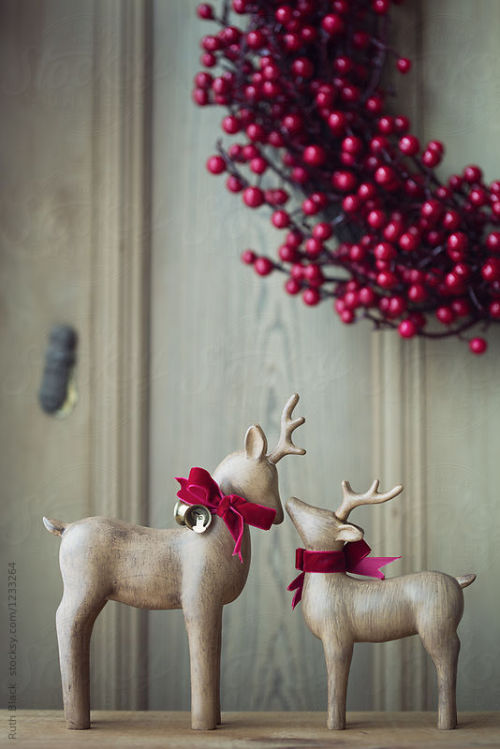 Festive reindeer decor By RuthBlackAvailable to license exclusively at Stocksy