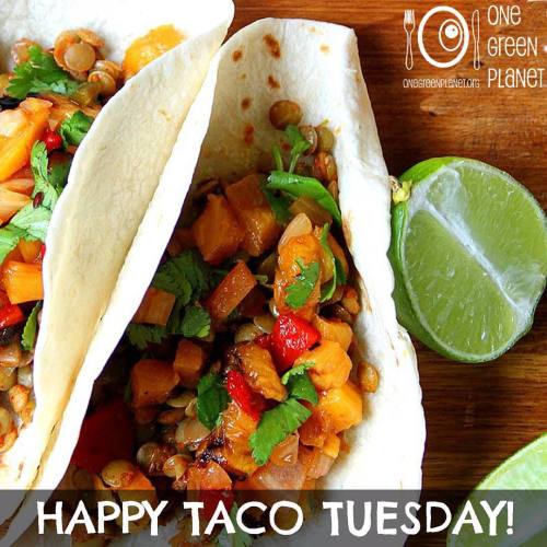 Celebrate #TacoTuesday with these Chili Lime Lentil Tacos With Grilled Pineapple Sauce!