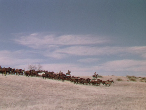 365filmsbyauroranocte: Duel in the Sun (King Vidor, 1946)