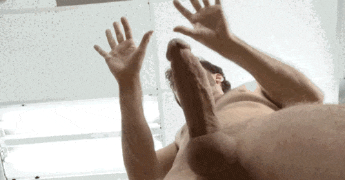 Trading Races- BrazzersPorn with an epilepsy warning. I love some of the brazzers