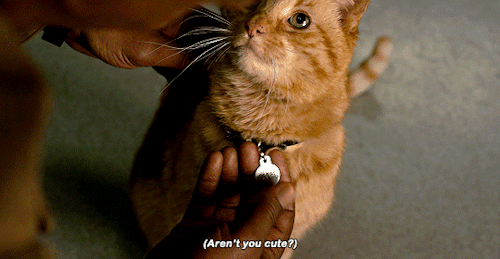 captainmarvelsource:I’ll be back!