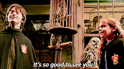 riddleharry:  Harry and Hermione moments: Chamber of secrets 