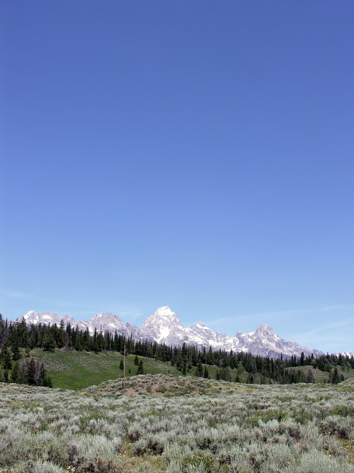 Summerscape Grand Teton National Park, Wyomin’