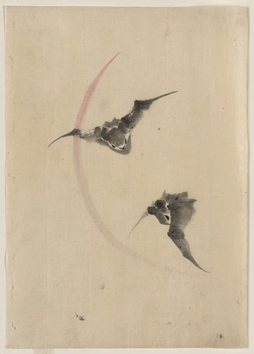 wonderlartcafe:Katsushika Hokusai, Two bats flying (between 1830 and 1850)