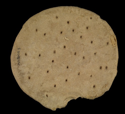 respectablespy: A round ship’s biscuit with perforations as an aid to baking. Inscribed: &lsqu
