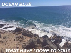 capitallyrics:  Sun // Two Door Cinema Club