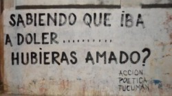 accionpoeticaamerica:  Sabiendo que iba a doler … ¿Hubieras amado?Síguenos en: 	 		Messenger: https://m.me/accion.poetica.muros 			Frenys: http://frenys.com/accionPoetica/ 			Twitter: @accionpoetica0k 			Facebook: accion.poetica.muros 			Instagram: