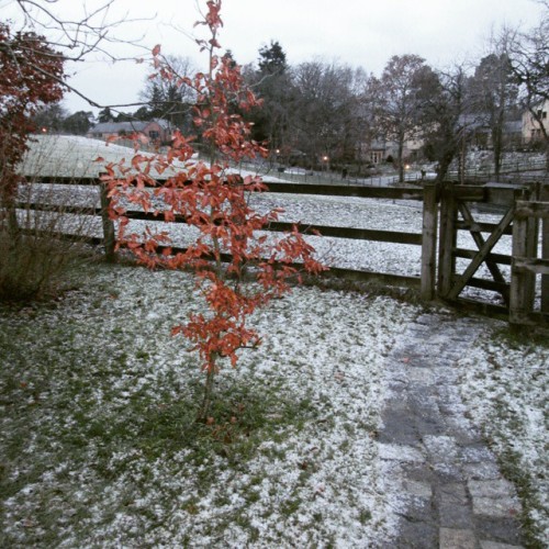 Let it snow, let it snow, let it snow&hellip; #newtondee #Aberdeen #Scotland