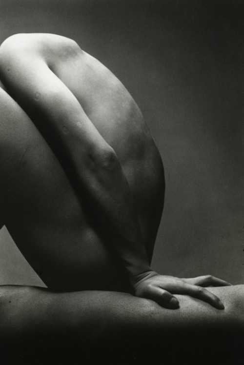 ognivolta:  Eikoh Hosoe 