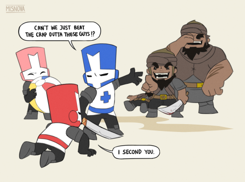 The Castle Crashers Experience