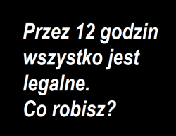 Co byście zrobili? 