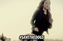 color-division:  #SAVEHANNIBAL Save everything this fantastic show has to offer Bonus: