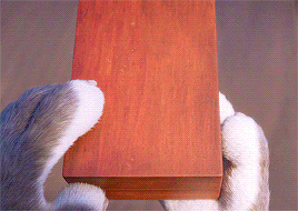 thedatastorm:“No matter what type of animal you are, from the biggest elephant to our first fox, I i