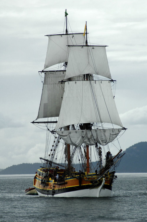 animalfunwithnature:The Lady Washington by ~terrybare