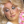 slutstarlet: